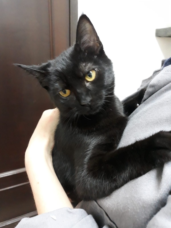 Foto Morita