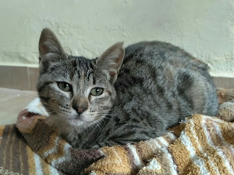 Foto Aika