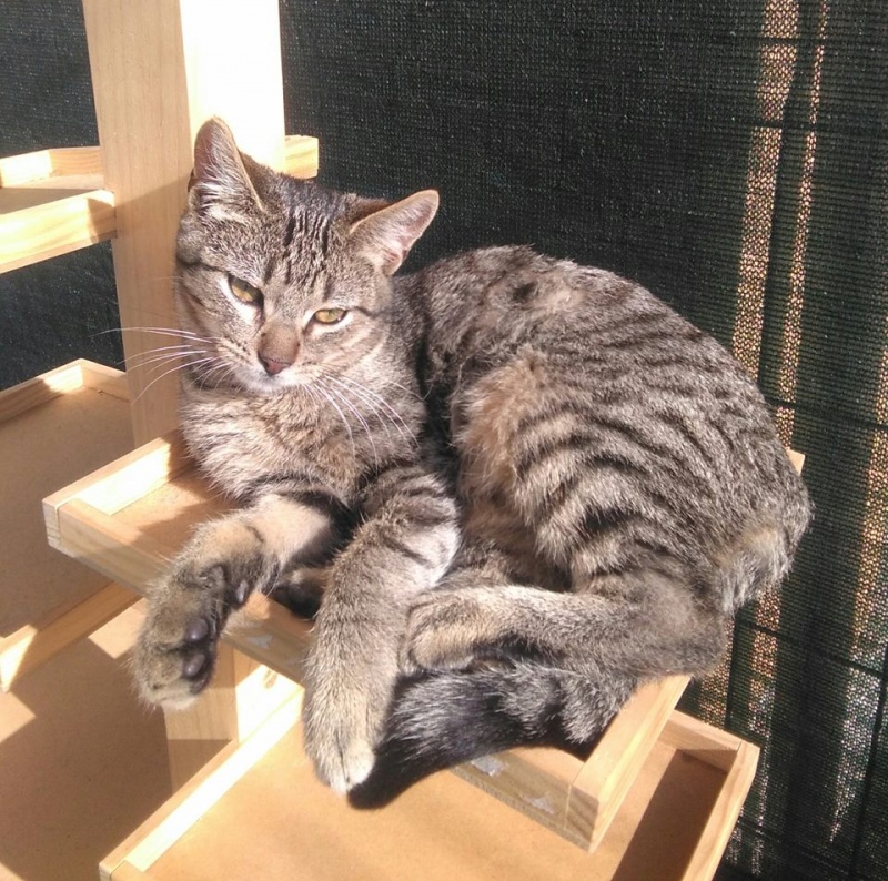 Foto Melvin