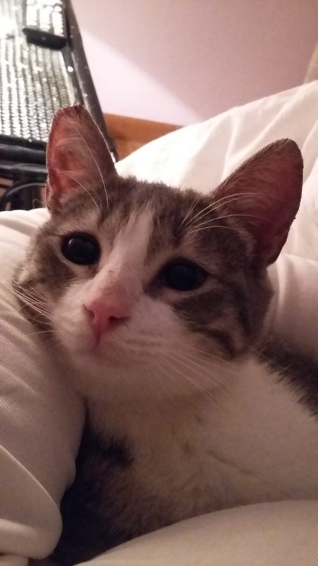 Foto Kika