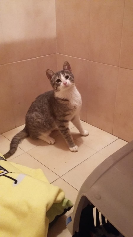 Foto Kika