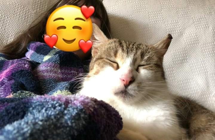 Foto Pepa Cat