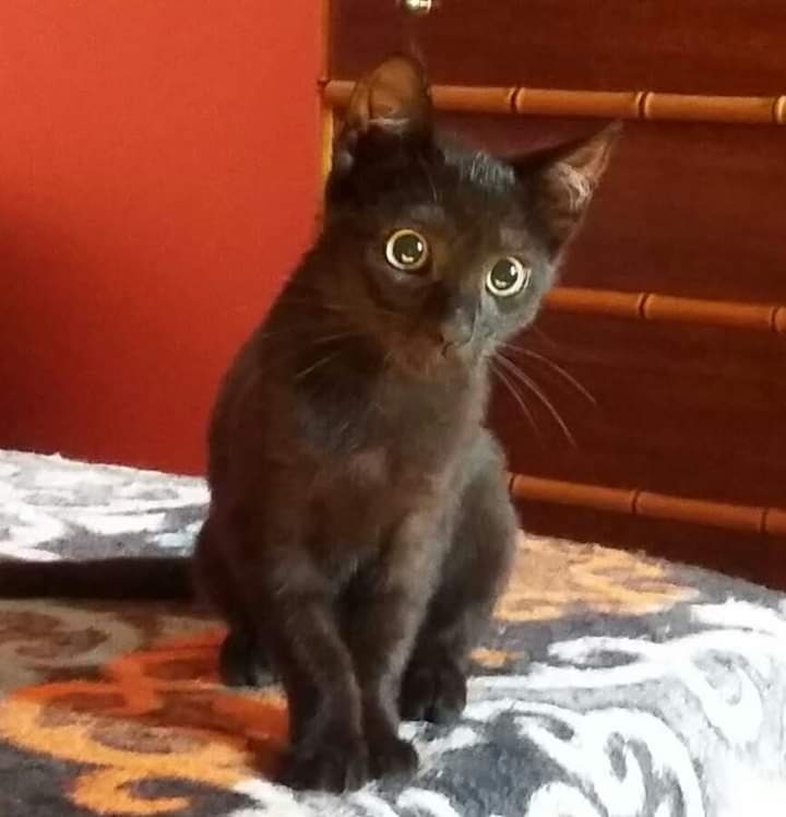 Foto Maura