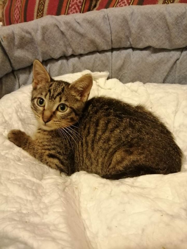Foto Peter Pan