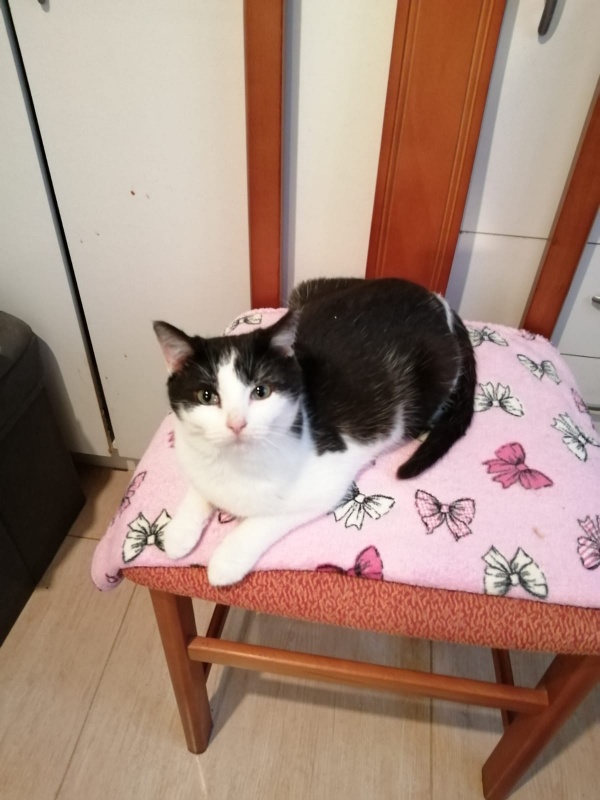 Foto Crispín