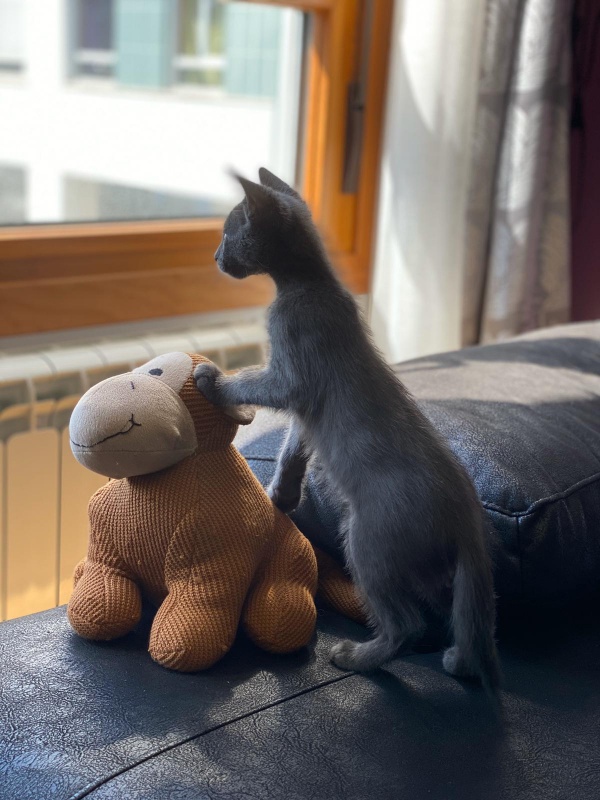 Foto Yuri