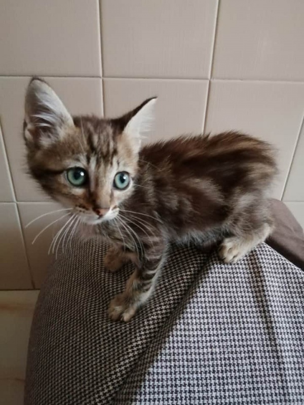 Foto Morty
