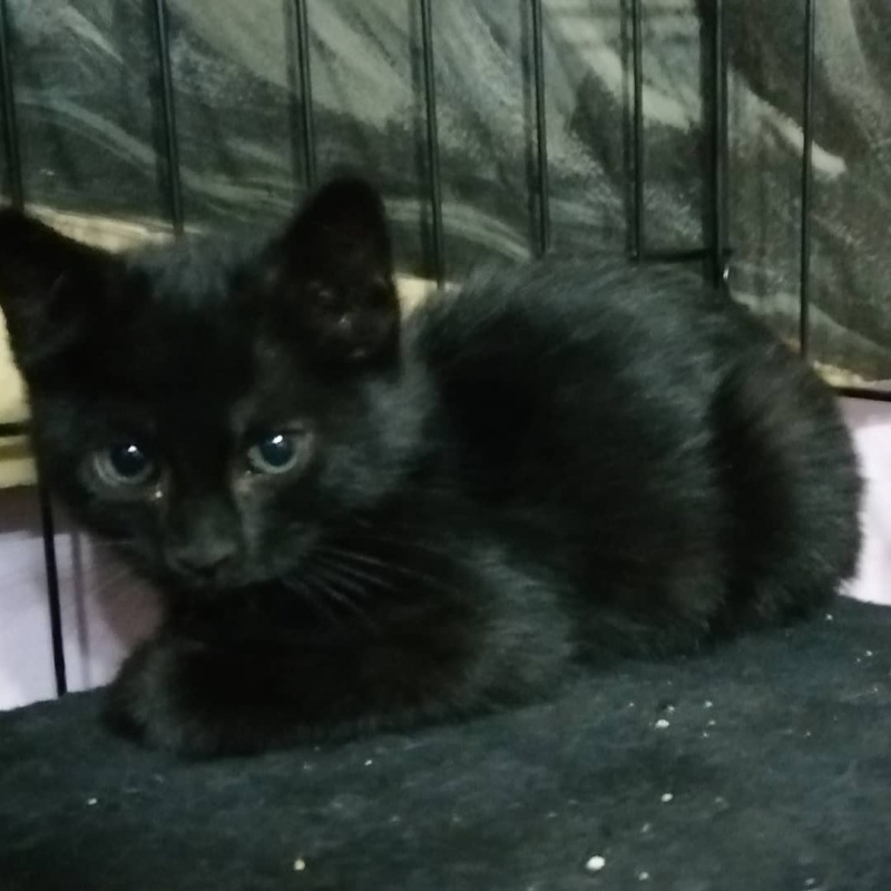 Foto NUKA
