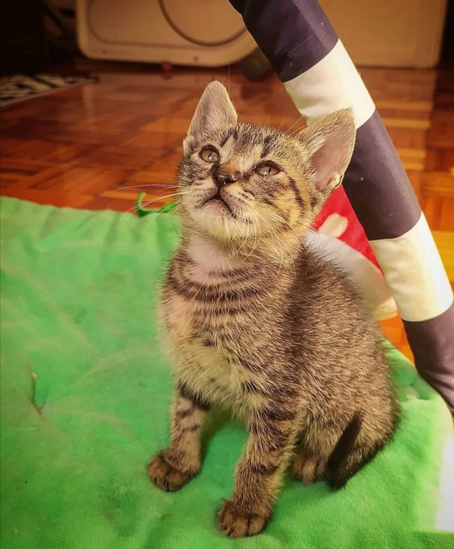 Foto MILU Y PEPITO