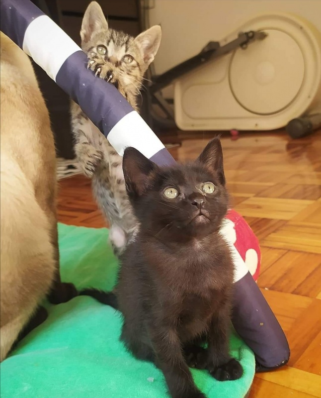 Foto MILU Y PEPITO