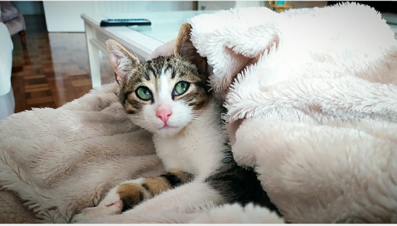 Foto ZIZU