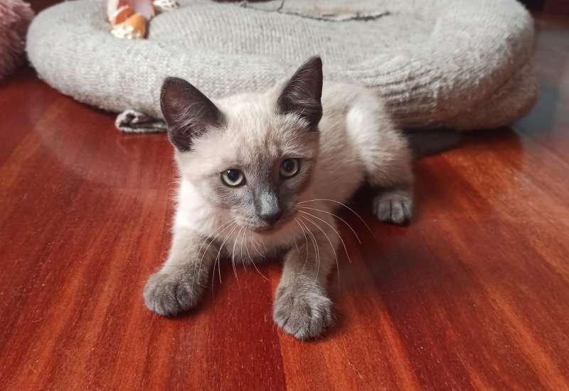 Foto LUCA
