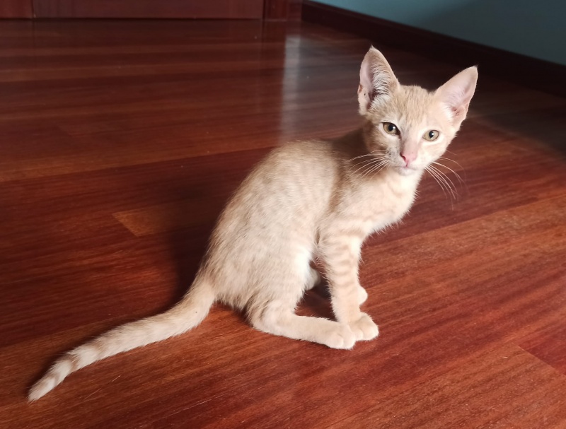 Foto LEO