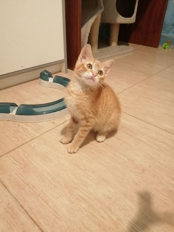 Foto ALAN