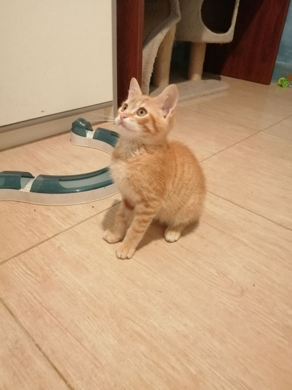 Foto ALAN