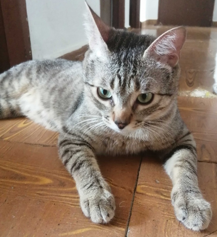Foto LILO