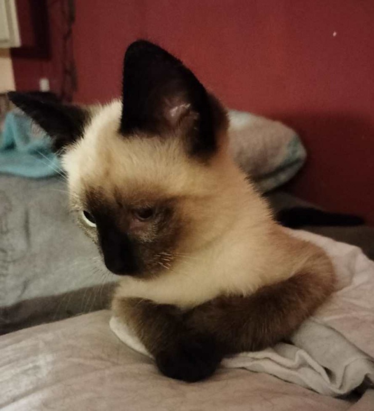 Foto OTTO