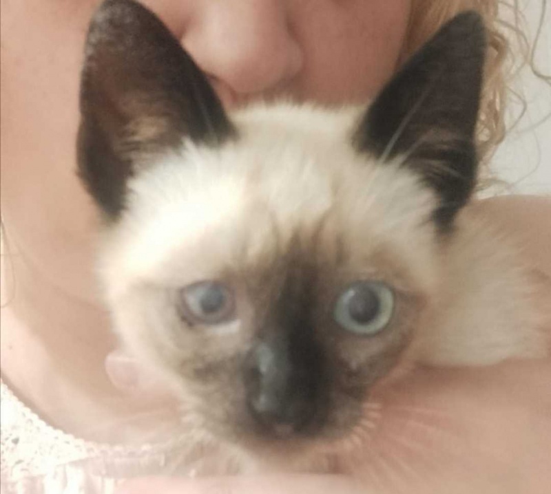 Foto OTTO