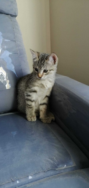 Foto SISSI