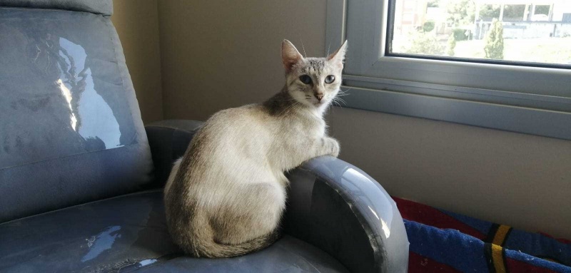 Foto CHLOE