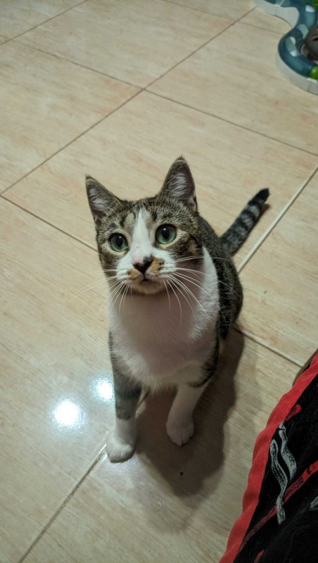 Foto JULIETA