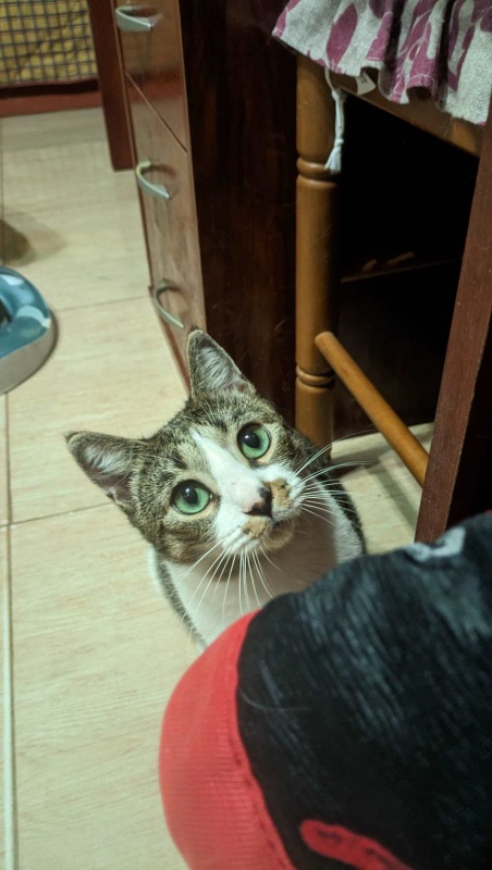 Foto JULIETA