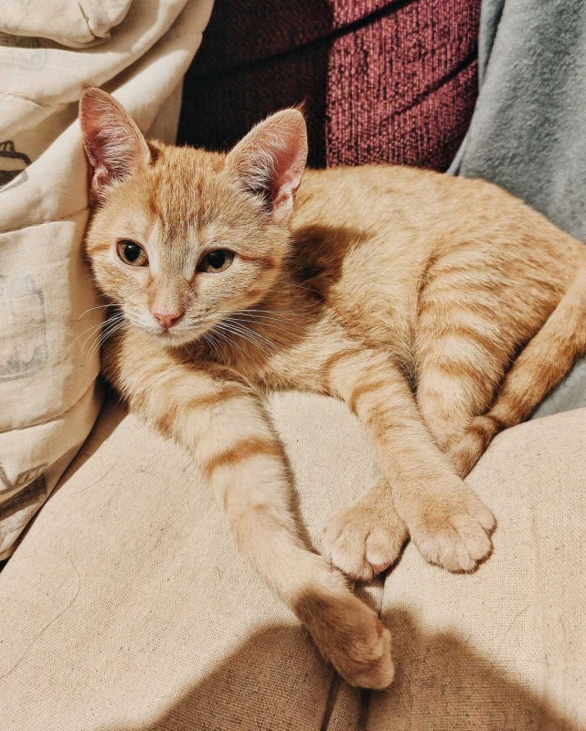 Foto WINNIE