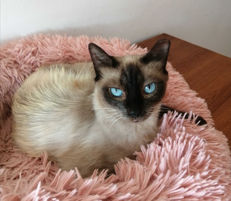 Foto TELMA