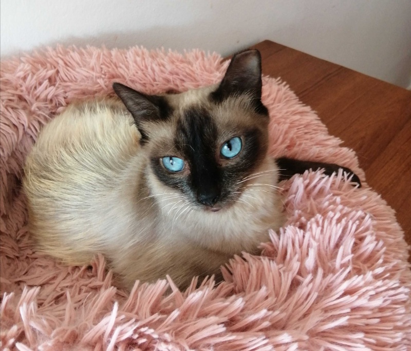 Foto TELMA