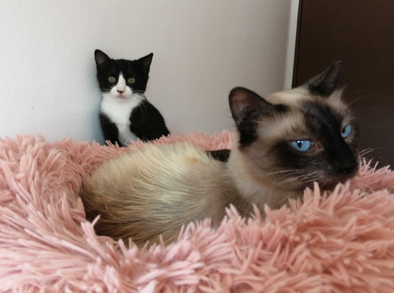 Foto TELMA