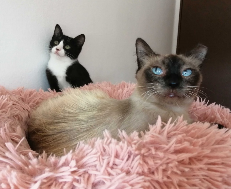 Foto TELMA