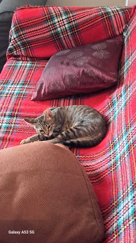 Foto PEPI