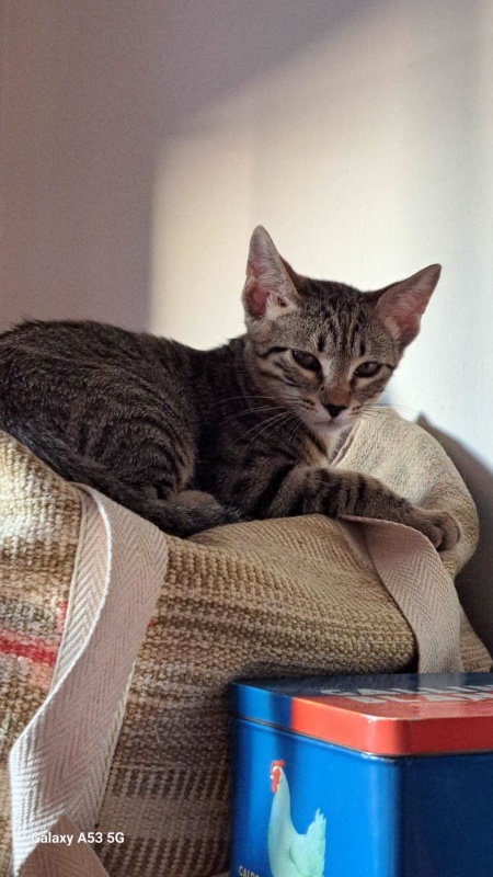 Foto PEPI