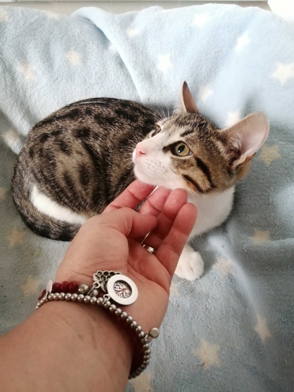 Foto BRUNO