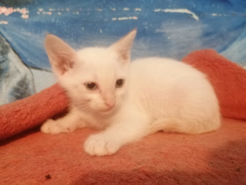 Foto BUÑUELINA