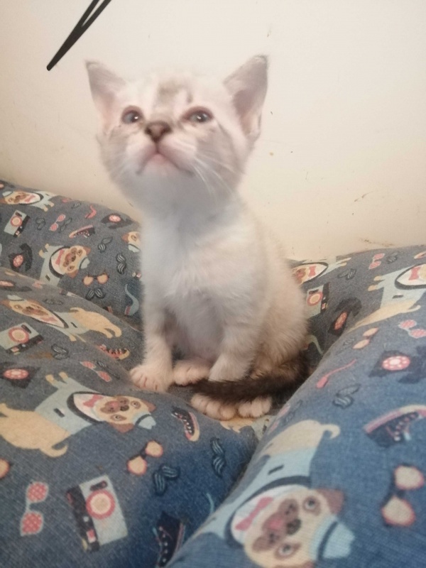 Foto CLEMENTINA