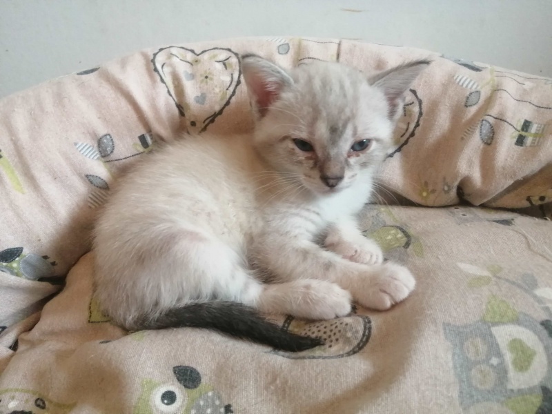 Foto CLEMENTINA