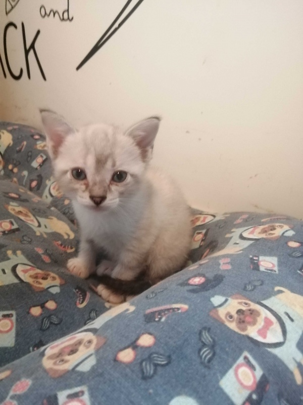 Foto CLEMENTINA