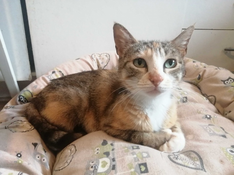 Foto PRINCESA