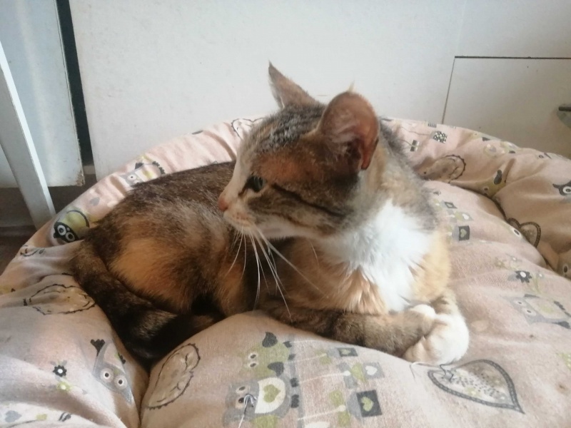 Foto PRINCESA