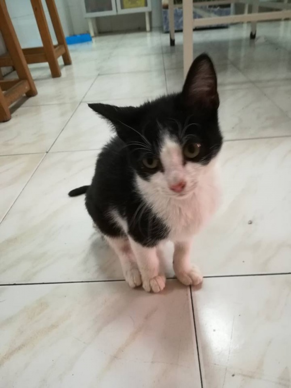 Foto Felipe