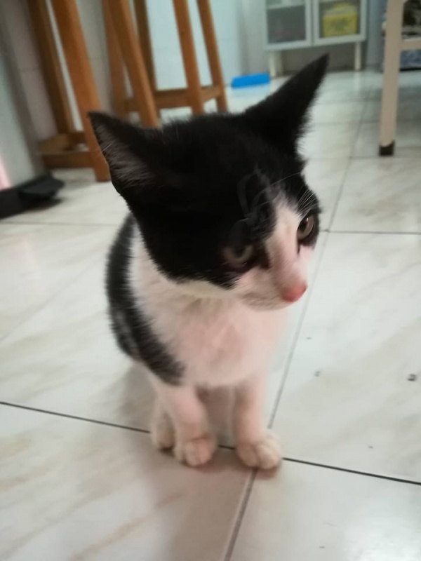 Foto Felipe