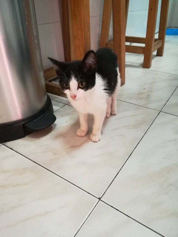 Foto Felipe