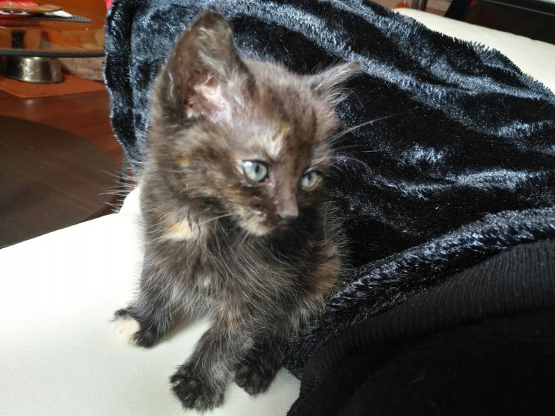 Foto Blacky