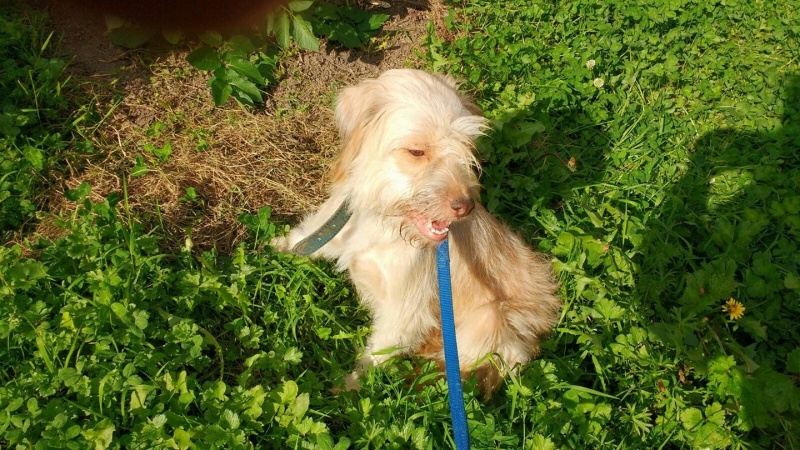 Foto Luna
