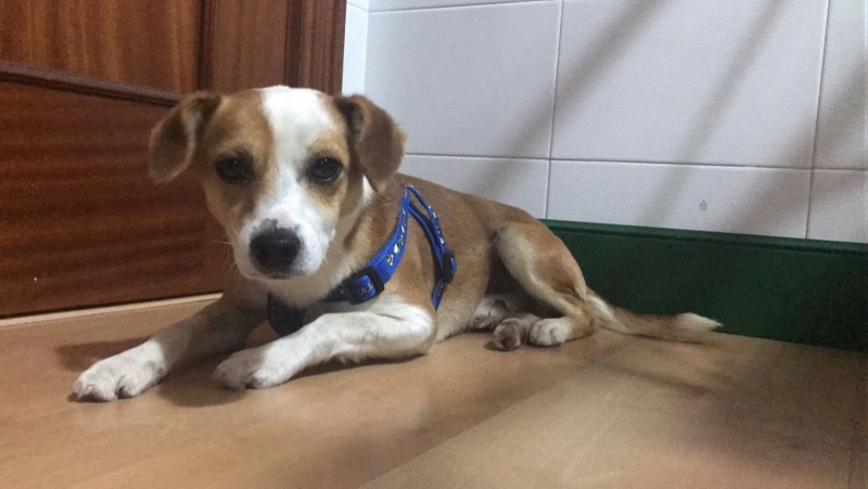 Foto Meko