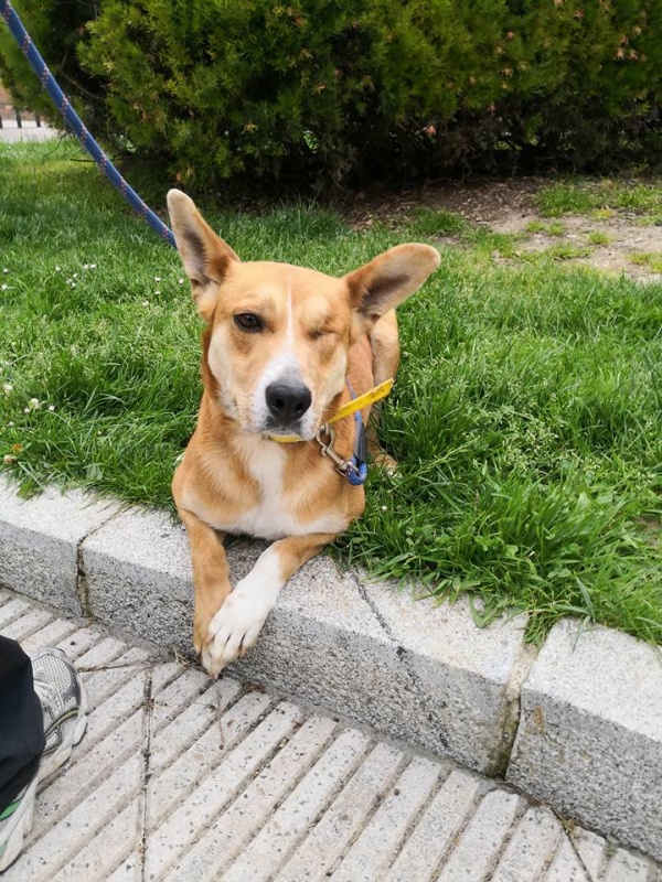 Foto Emma