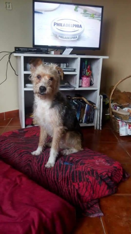 Foto Rocky