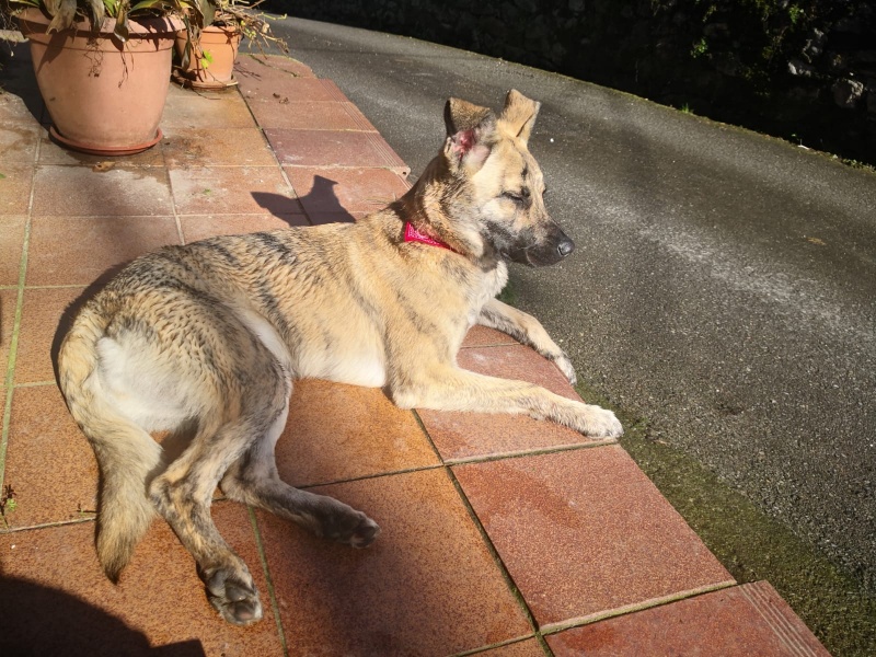 Foto Luna
