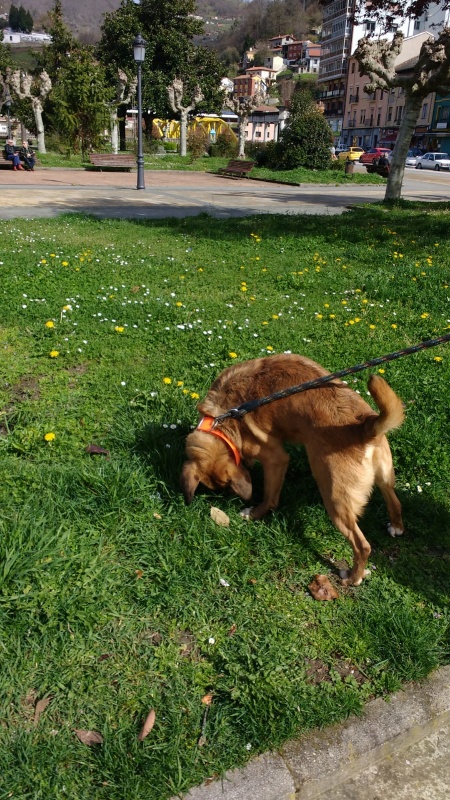 Foto Argos